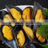 Seafood Frozen Boiled Mussel With Shell thumbnail-1