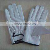 Soft and Comfortable Goat Grain Leather Driver Glove ZM110 thumbnail-1