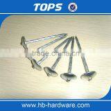 China Umbrella Head Roofing Nails thumbnail-2