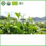 Tieh-Kuan-Yin /Tie GuanYin Tea/Oolong Tea thumbnail-6