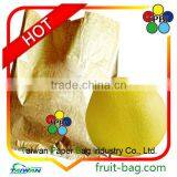 Fruit Brown Growing Paper Bag in Agriculture Grapefruit Brown Paper Bag Grapefruit thumbnail-1