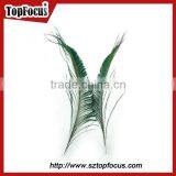Pack Best Natural Peacock Feathers Long Genuine Halloween Peacock Feather Dress thumbnail-5