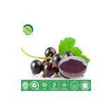 Blackcurrant Juice Powder thumbnail-1