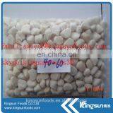 Frozen Scallop For American With Sea Scallop/bay Scallop thumbnail-2