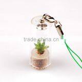 Miniplant "Rock Flower" thumbnail-2