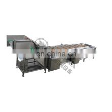 Industrial fruit and vegetable washing line bubble washing machine salad cleaning machine