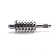 Double-head Steel Ball Worm Shaft