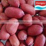 Red Skin Peanut 50/60
