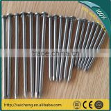 Guangzhou galvanized nails/umbrella roofing nails/wood nails factory