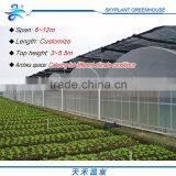 Hot Sale Plastic Film Greenhouse, Vegetables Greenhouse thumbnail-2