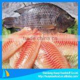 new fresh frozen tilapia food