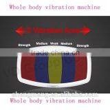 2015 Stand-up Ultrathin Electric Vibrating Massager on TV Shown thumbnail-1