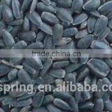 BLACK SUNFLOWER SEEDS thumbnail-6