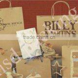 Fashional Paper Hand Bag thumbnail-1