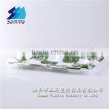 KW-0007FG-GN BOPS Sushi Tray With Transparent Lid thumbnail-3