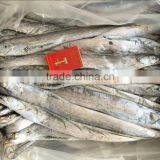 Good Quality of Frozen Ribbon Fish 120-300g thumbnail-5