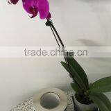 Professional Factory High Quality Wine Labels Printed Self-adhesive Stickers