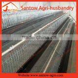 Battery Pullet Rearing Cage Poultry Equipment thumbnail-5