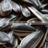 Chinese Sunflower Seed thumbnail-1