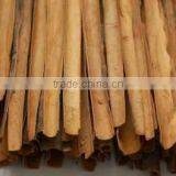CINNAMON thumbnail-6