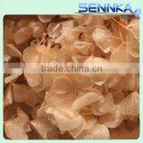 Natural Processing Fadeless Flower European Snowball Preserved Hydrangeas thumbnail-6