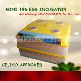 Fully Automatic Mini Egg Incubator for Eggs Price in China WQ-196 thumbnail-1