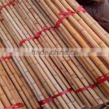 WY-211 Natural Dryness for 12% Straight Garden Tonkin Bamboo Poles Bamboo Canes Bamboo Stakes for Sale thumbnail-3
