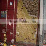 Bamboo Stake Poles for Orchard Plant Tree Supporting thumbnail-3