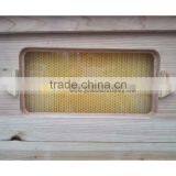 New Design 7 Frames Automatic Langstroth Bee Flow Hive for Beekeeping thumbnail-3