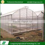 2017 Professional 200 micron film agriculture green house plastic