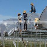 Agricultral Transparent Hdpe uv Resistant Plastic Film for Greenhouse thumbnail-6