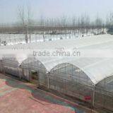 Large Plastic Film Multi-span Zigzag Greenhouse for Fruits thumbnail-1