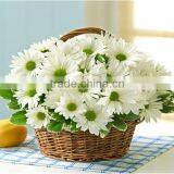 Woven Handle Round Rattan Flower Basket thumbnail-1