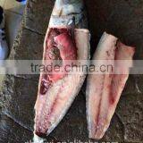 300-400g Frozen Fish thumbnail-1