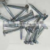 Galvanized Clout Nails With Flat Head/ ROOFING CLOUT NAILS /FALT CLOUT NAILS thumbnail-4