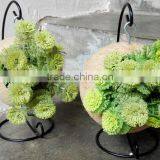 Ex-fty Most Affordable Coconut Box/storage Container for Green Plant thumbnail-3