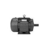 WorldWide Industrial Duty Three-Phase Motors thumbnail-1