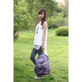 2014 Mountain Climbing Hiking Camping Bag Backpack (TP-HGB010) thumbnail-2