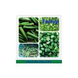 New Crop Frozen Okra Cut