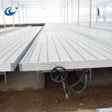 Manufacturer rolling gray ebb and flow bench in greenhouse