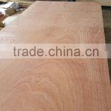 8mm 10mm 15mm Film Faced Plywood / Plywood Prices thumbnail-2