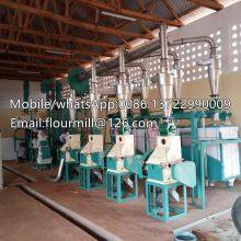 Small Production 10T Wheat Flour Milling Machine Wheat Meal Processing Line Grain Milling Machine thumbnail-3
