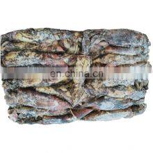 Frozen Black Squid Indian Ocean Squid Indian Squid Factory Direct Sale thumbnail-3