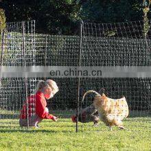UV treated extruded poultry Chicken fence nets