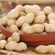 Roasted peanuts garlic flavor Chinese famous snacks