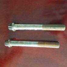 Dodecagon Head Bolts American Standard Screw thumbnail-5