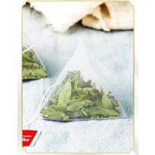 Senna Leaf thumbnail-3