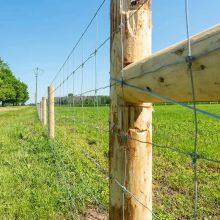 High Quality Galvanized Fixed Knot Fencing for Cattle and Sheep Farm thumbnail-1