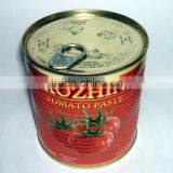 Double Tomato Paste800g