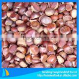 excellent fresh frozen chestnuts with perfect price